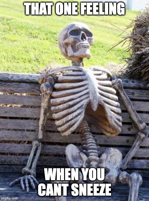 Waiting Skeleton | THAT ONE FEELING; WHEN YOU CANT SNEEZE | image tagged in memes,waiting skeleton | made w/ Imgflip meme maker