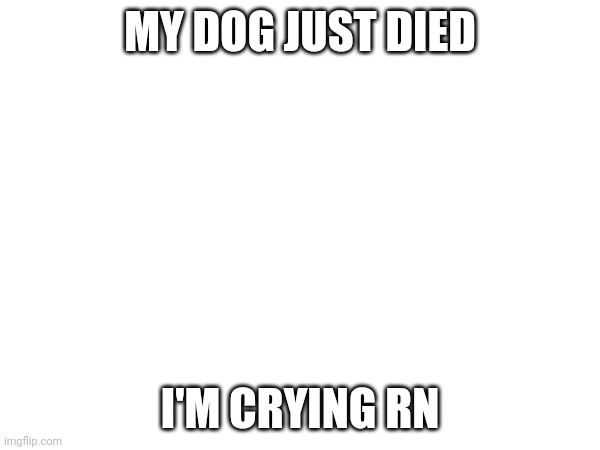 MY DOG JUST DIED; I'M CRYING RN | made w/ Imgflip meme maker