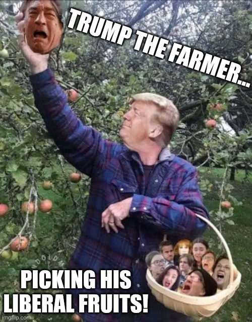TRUMP THE FARMER... PICKING HIS LIBERAL FRUITS! | made w/ Imgflip meme maker
