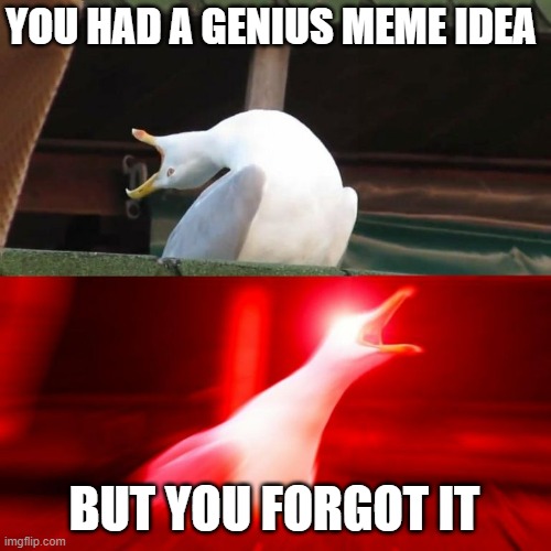 bruh | YOU HAD A GENIUS MEME IDEA; BUT YOU FORGOT IT | image tagged in inhales seagull,meme,forget | made w/ Imgflip meme maker