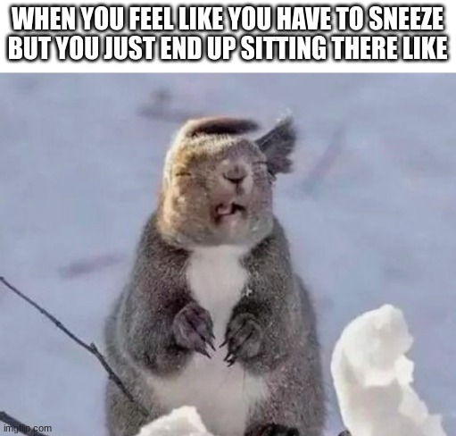 WHEN YOU FEEL LIKE YOU HAVE TO SNEEZE BUT YOU JUST END UP SITTING THERE LIKE | image tagged in memes | made w/ Imgflip meme maker