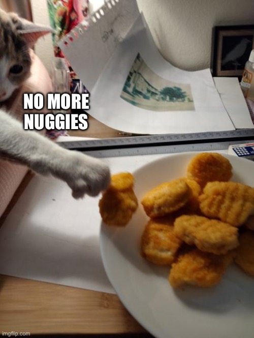 Chicken Nugget Thief | NO MORE NUGGIES | image tagged in chicken nugget thief | made w/ Imgflip meme maker