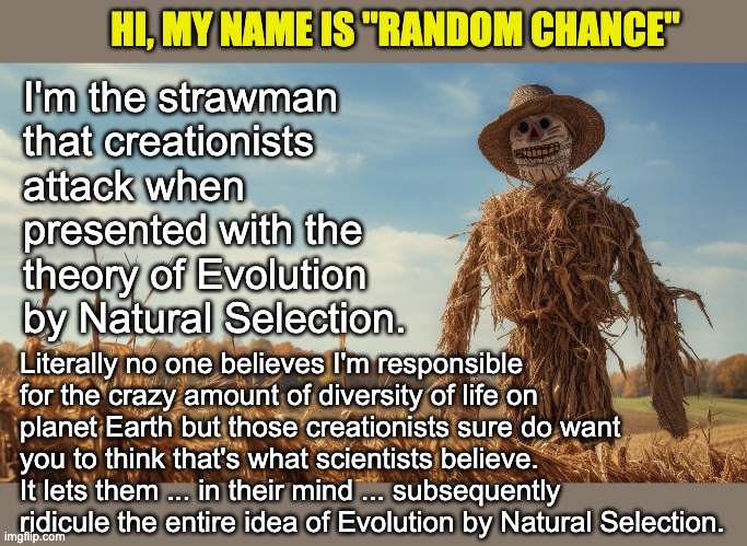 Strawman Fallacy: substituting a person's real argument with a distorted version. | HI, MY NAME IS "RANDOM CHANCE"; I'm the strawman that creationists attack when presented with the theory of Evolution by Natural Selection. Literally no one believes I'm responsible for the crazy amount of diversity of life on planet Earth but those creationists sure do want you to think that's what scientists believe. It lets them ... in their mind ... subsequently  ridicule the entire idea of Evolution by Natural Selection. | image tagged in strawman,atheist,atheism | made w/ Imgflip meme maker