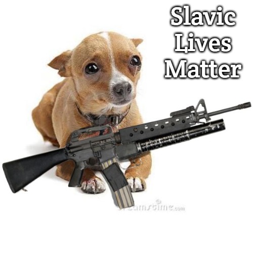 Dog with a gun | Slavic Lives Matter | image tagged in dog with a gun,slavic | made w/ Imgflip meme maker