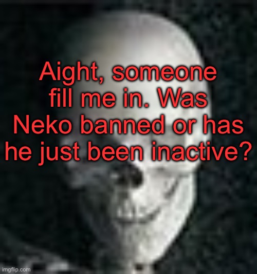 Been gone for like a week, so idk | Aight, someone fill me in. Was Neko banned or has he just been inactive? | image tagged in skull | made w/ Imgflip meme maker