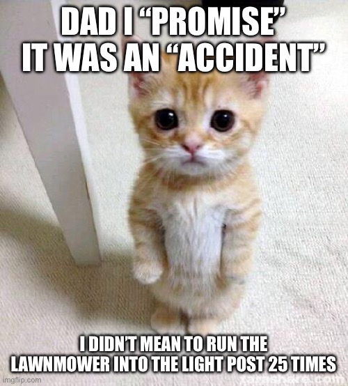 Cute Cat | DAD I “PROMISE” IT WAS AN “ACCIDENT”; I DIDN’T MEAN TO RUN THE LAWNMOWER INTO THE LIGHT POST 25 TIMES | image tagged in memes,cute cat | made w/ Imgflip meme maker