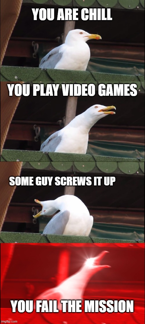 Video Games be like | YOU ARE CHILL; YOU PLAY VIDEO GAMES; SOME GUY SCREWS IT UP; YOU FAIL THE MISSION | image tagged in memes,inhaling seagull | made w/ Imgflip meme maker