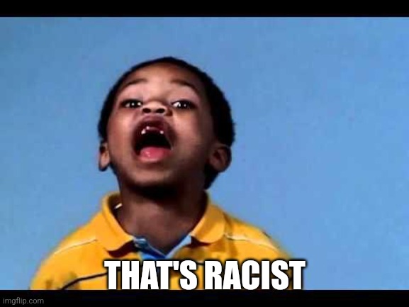 That's racist 2 | THAT'S RACIST | image tagged in that's racist 2 | made w/ Imgflip meme maker