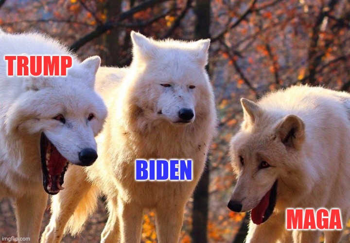 2/3 wolves laugh | TRUMP BIDEN MAGA | image tagged in 2/3 wolves laugh | made w/ Imgflip meme maker