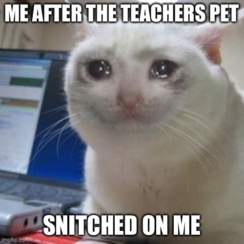 Crying cat | ME AFTER THE TEACHERS PET SNITCHED ON ME | image tagged in crying cat | made w/ Imgflip meme maker
