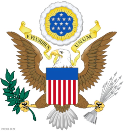 US Coat of Arms | image tagged in us coat of arms | made w/ Imgflip meme maker