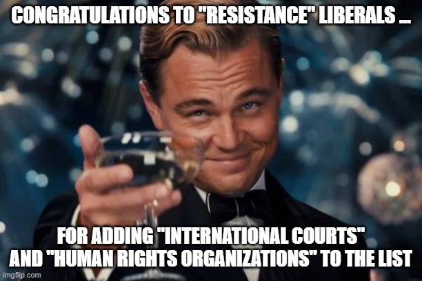 Leonardo Dicaprio Cheers Meme | CONGRATULATIONS TO "RESISTANCE" LIBERALS ... FOR ADDING "INTERNATIONAL COURTS" AND "HUMAN RIGHTS ORGANIZATIONS" TO THE LIST | image tagged in memes,leonardo dicaprio cheers | made w/ Imgflip meme maker