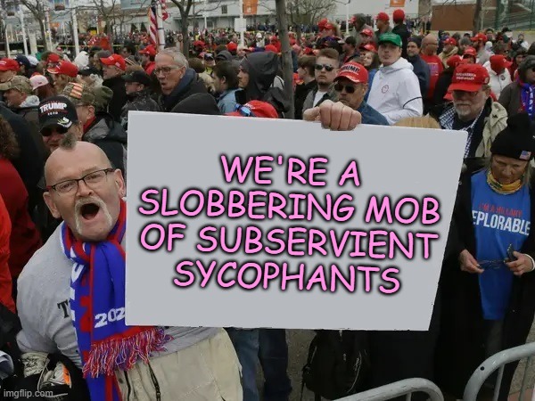 If Trump's slobbering mob of subservient sycophants were honest. (And had an adult-level vocabulary.) | WE'RE A
SLOBBERING MOB
OF SUBSERVIENT
SYCOPHANTS | image tagged in trump supporters sign,maga,trump,cult,sheeple,vocabulary | made w/ Imgflip meme maker