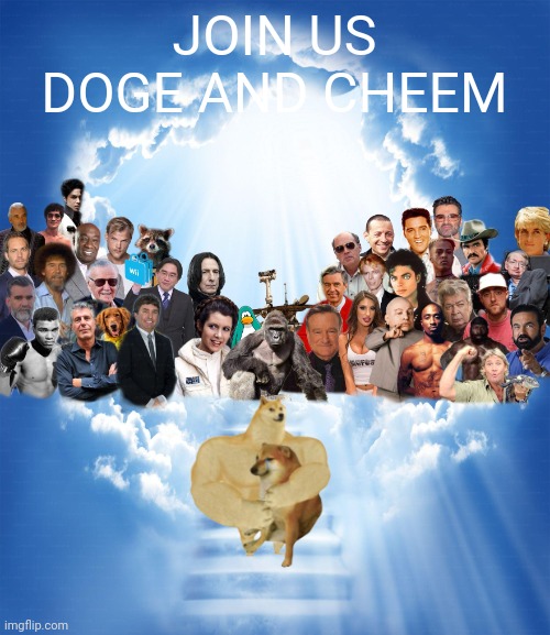 we have recieved a new angel | JOIN US DOGE AND CHEEM | image tagged in meme heaven,doge,cheems,rip | made w/ Imgflip meme maker