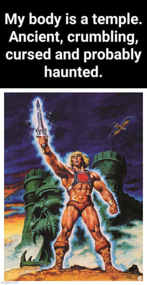 My body is a temple | image tagged in he man at castle grayskull power sword | made w/ Imgflip meme maker