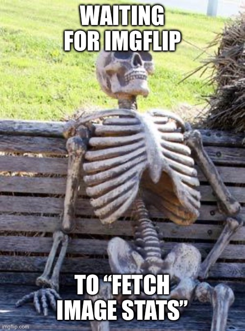 Fetching image stats… please stand by… | WAITING FOR IMGFLIP; TO “FETCH IMAGE STATS” | image tagged in memes,waiting skeleton | made w/ Imgflip meme maker