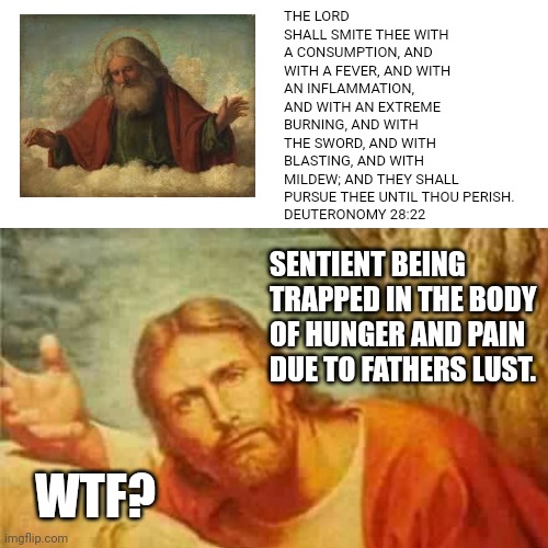 Jesus memes God memes | THE LORD SHALL SMITE THEE WITH A CONSUMPTION, AND WITH A FEVER, AND WITH AN INFLAMMATION, AND WITH AN EXTREME BURNING, AND WITH THE SWORD, AND WITH BLASTING, AND WITH MILDEW; AND THEY SHALL PURSUE THEE UNTIL THOU PERISH.
DEUTERONOMY 28:22; SENTIENT BEING TRAPPED IN THE BODY OF HUNGER AND PAIN DUE TO FATHERS LUST. WTF? | image tagged in god,jesus,deuteronomy | made w/ Imgflip meme maker