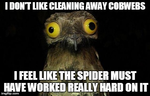 Weird Stuff I Do Potoo Meme | I DON'T LIKE CLEANING AWAY COBWEBS I FEEL LIKE THE SPIDER MUST HAVE WORKED REALLY HARD ON IT | image tagged in memes,weird stuff i do potoo,AdviceAnimals | made w/ Imgflip meme maker