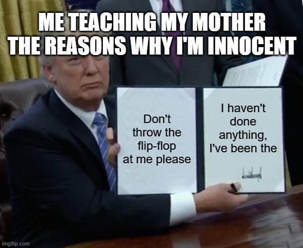 memes in english | ME TEACHING MY MOTHER THE REASONS WHY I'M INNOCENT; Don't throw the flip-flop at me please; I haven't done anything, I've been the | image tagged in memes,trump bill signing | made w/ Imgflip meme maker