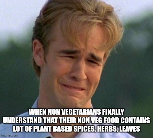 1990s First World Problems | WHEN NON VEGETARIANS FINALLY UNDERSTAND THAT THEIR NON VEG FOOD CONTAINS LOT OF PLANT BASED SPICES, HERBS, LEAVES | image tagged in memes,1990s first world problems | made w/ Imgflip meme maker