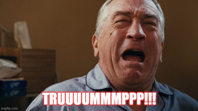 Crying Robert De Niro | TRUUUUMMMPPP!!! | image tagged in crying robert de niro | made w/ Imgflip meme maker