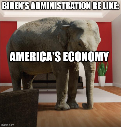 Elephant In The Room | BIDEN'S ADMINISTRATION BE LIKE:; AMERICA'S ECONOMY | image tagged in elephant in the room | made w/ Imgflip meme maker