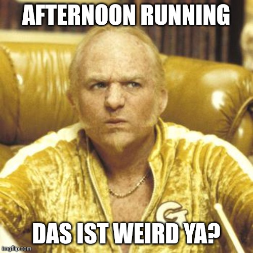 Afternoon running | AFTERNOON RUNNING; DAS IST WEIRD YA? | image tagged in running,run | made w/ Imgflip meme maker