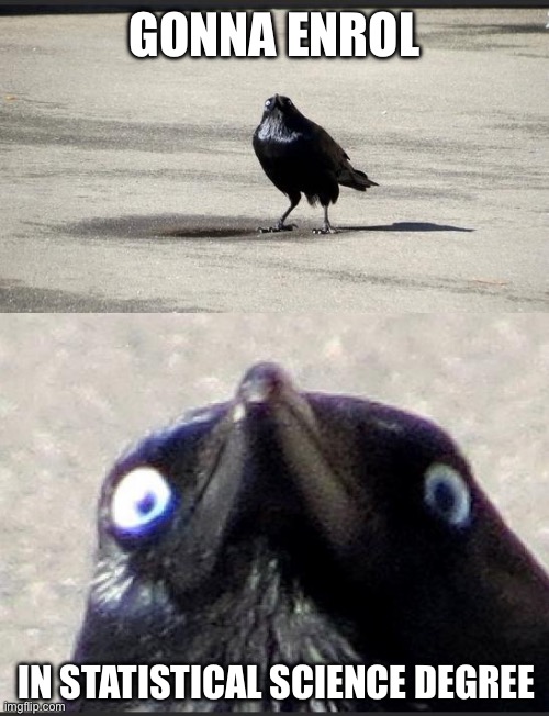 insanity crow | GONNA ENROL; IN STATISTICAL SCIENCE DEGREE | image tagged in insanity crow | made w/ Imgflip meme maker