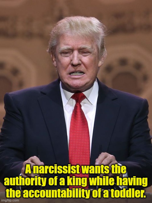 Trump | A narcissist wants the authority of a king while having the accountability of a toddler. | image tagged in donald trump | made w/ Imgflip meme maker