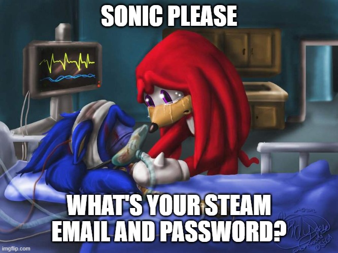 sonic please | SONIC PLEASE WHAT'S YOUR STEAM EMAIL AND PASSWORD? | image tagged in sonic please | made w/ Imgflip meme maker