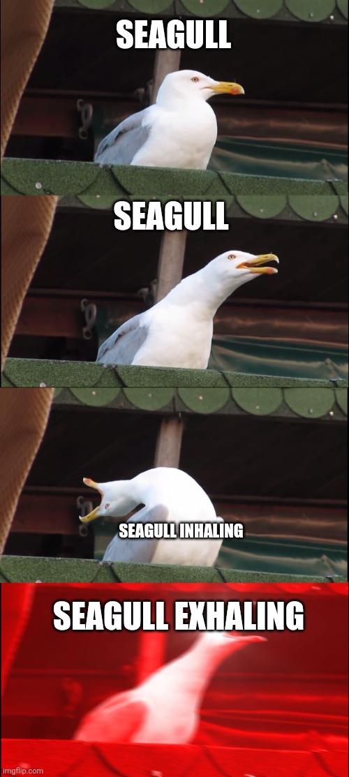 Seagull | SEAGULL; SEAGULL; SEAGULL INHALING; SEAGULL EXHALING | image tagged in memes,inhaling seagull | made w/ Imgflip meme maker