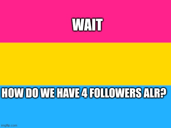 wow so many | WAIT; HOW DO WE HAVE 4 FOLLOWERS ALR? | image tagged in pansexual flag | made w/ Imgflip meme maker