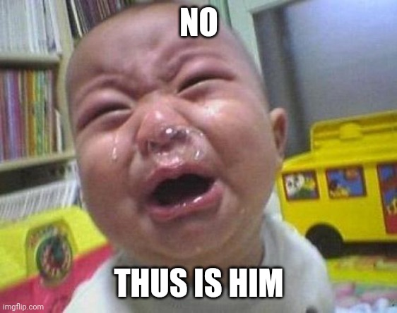 Ugly Crying Baby | NO THUS IS HIM | image tagged in ugly crying baby | made w/ Imgflip meme maker
