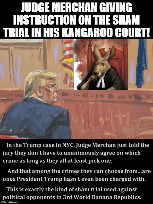 The sham trial presided over by the kangaroo judge in the kangaroo court! | JUDGE MERCHAN GIVING INSTRUCTION ON THE SHAM TRIAL IN HIS KANGAROO COURT! | image tagged in kangaroo,disgusting,disgrace,idiots | made w/ Imgflip meme maker