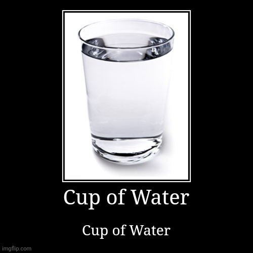 Proof that people will argue over anything | Cup of Water | Cup of Water | image tagged in funny,demotivationals | made w/ Imgflip demotivational maker