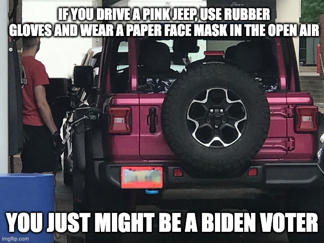 IF YOU DRIVE A PINK JEEP, USE RUBBER GLOVES AND WEAR A PAPER FACE MASK IN THE OPEN AIR; YOU JUST MIGHT BE A BIDEN VOTER | image tagged in ridin' with biden | made w/ Imgflip meme maker