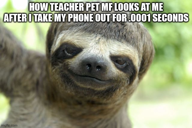 funny-pictures-without-captions-these-funny-animals-656-640-08-z | HOW TEACHER PET MF LOOKS AT ME AFTER I TAKE MY PHONE OUT FOR .0001 SECONDS | image tagged in funny-pictures-without-captions-these-funny-animals-656-640-08-z | made w/ Imgflip meme maker