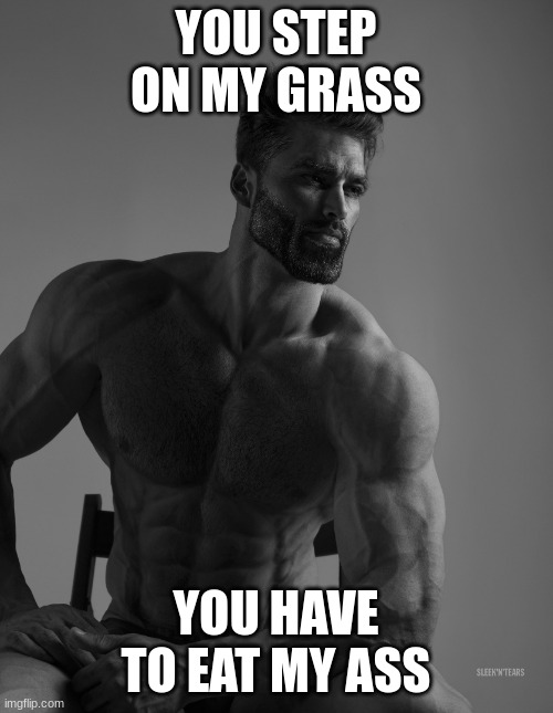 Giga Chad | YOU STEP ON MY GRASS YOU HAVE TO EAT MY ASS | image tagged in giga chad | made w/ Imgflip meme maker