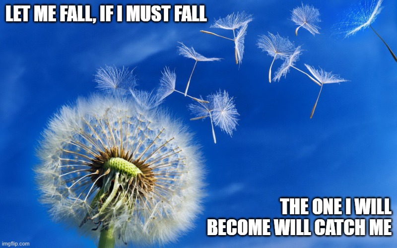 dandelion | LET ME FALL, IF I MUST FALL; THE ONE I WILL BECOME WILL CATCH ME | image tagged in dandelion | made w/ Imgflip meme maker