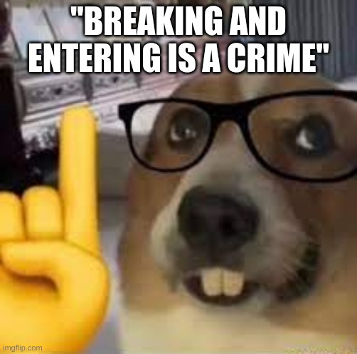 nerd dog | "BREAKING AND ENTERING IS A CRIME" | image tagged in nerd dog | made w/ Imgflip meme maker