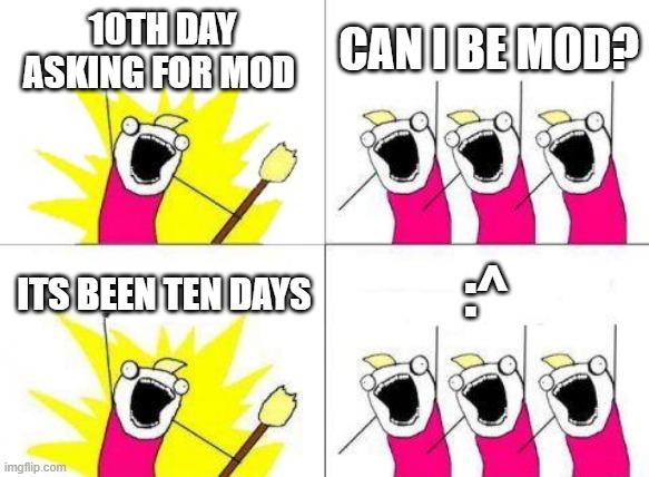 mod please | 10TH DAY ASKING FOR MOD; CAN I BE MOD? :^; ITS BEEN TEN DAYS | image tagged in memes,what do we want | made w/ Imgflip meme maker