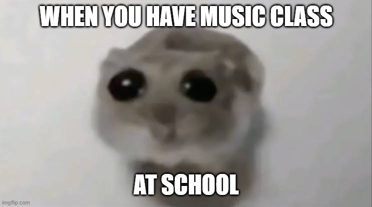 Sad Hamster | WHEN YOU HAVE MUSIC CLASS; AT SCHOOL | image tagged in sad hamster | made w/ Imgflip meme maker