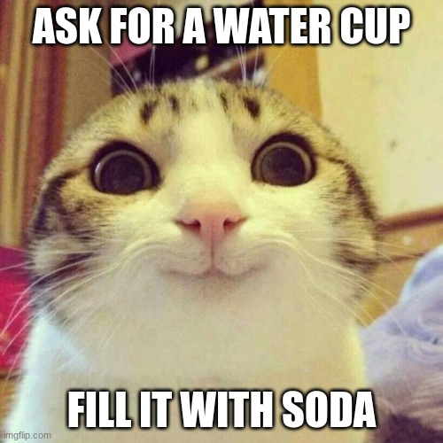 cat meme | ASK FOR A WATER CUP; FILL IT WITH SODA | image tagged in memes,smiling cat | made w/ Imgflip meme maker