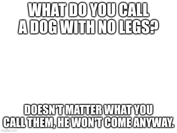 Dark humor part. 19 (2 years later) | WHAT DO YOU CALL A DOG WITH NO LEGS? DOESN'T MATTER WHAT YOU CALL THEM, HE WON'T COME ANYWAY. | image tagged in darkhumor,funny | made w/ Imgflip meme maker