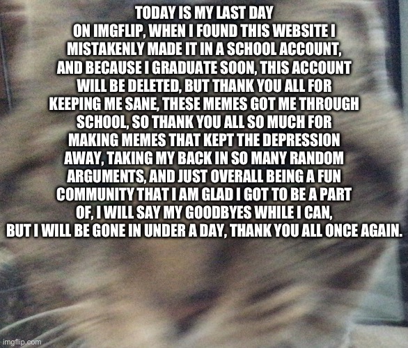Thank you all, goodbye | TODAY IS MY LAST DAY ON IMGFLIP, WHEN I FOUND THIS WEBSITE I MISTAKENLY MADE IT IN A SCHOOL ACCOUNT, AND BECAUSE I GRADUATE SOON, THIS ACCOUNT WILL BE DELETED, BUT THANK YOU ALL FOR KEEPING ME SANE, THESE MEMES GOT ME THROUGH SCHOOL, SO THANK YOU ALL SO MUCH FOR MAKING MEMES THAT KEPT THE DEPRESSION AWAY, TAKING MY BACK IN SO MANY RANDOM ARGUMENTS, AND JUST OVERALL BEING A FUN COMMUNITY THAT I AM GLAD I GOT TO BE A PART OF, I WILL SAY MY GOODBYES WHILE I CAN, BUT I WILL BE GONE IN UNDER A DAY, THANK YOU ALL ONCE AGAIN. | image tagged in jinxy,goodbye,memes,sad,quitting,leaving | made w/ Imgflip meme maker