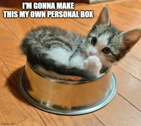 memes by Brad - cute kitten in a bowl | I'M GONNA MAKE THIS MY OWN PERSONAL BOX | image tagged in cats,cute,cute kitten,cute cat,kitten,funny | made w/ Imgflip meme maker