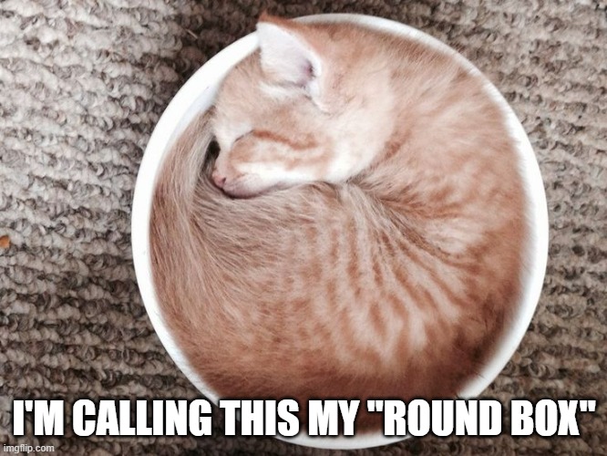 memes by Brad - kitten making a bowl into a box | I'M CALLING THIS MY "ROUND BOX" | image tagged in funny,cats,kittens,funny cat memes,cute kitten,humor | made w/ Imgflip meme maker