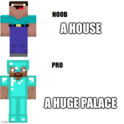 Noob vs. pro | A HOUSE; A HUGE PALACE | image tagged in noob vs pro | made w/ Imgflip meme maker