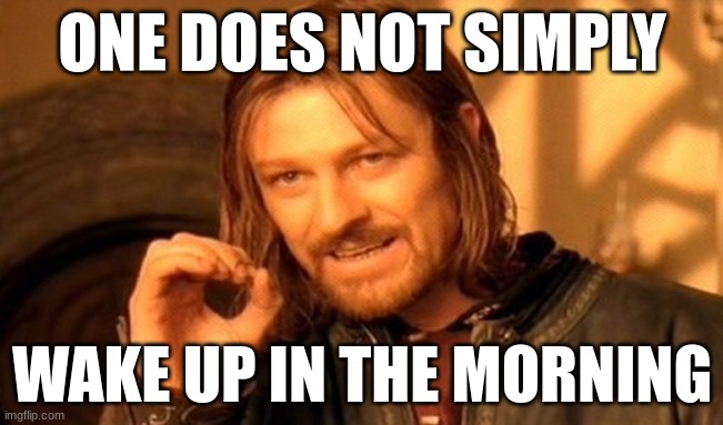 One Does Not Simply Meme | ONE DOES NOT SIMPLY; WAKE UP IN THE MORNING | image tagged in memes,one does not simply | made w/ Imgflip meme maker