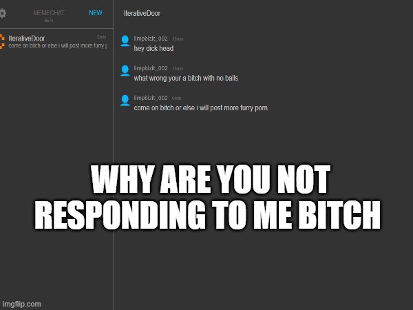 Because I have a job, loser. | WHY ARE YOU NOT RESPONDING TO ME BITCH | made w/ Imgflip meme maker